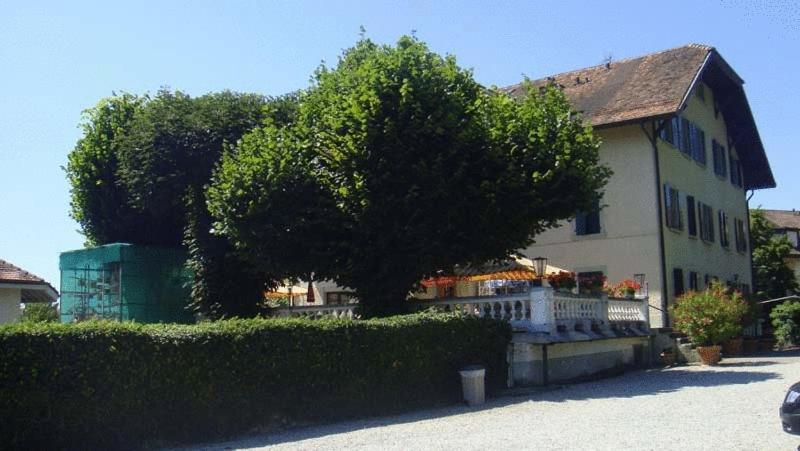 Hotel De Bahyse Blonay Exterior foto